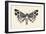 Moth III-Avery Tillmon-Framed Premium Giclee Print
