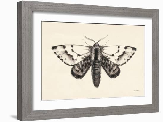 Moth IV-Avery Tillmon-Framed Art Print