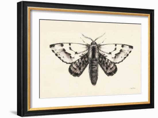Moth IV-Avery Tillmon-Framed Art Print