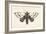 Moth IV-Avery Tillmon-Framed Premium Giclee Print