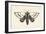 Moth IV-Avery Tillmon-Framed Premium Giclee Print