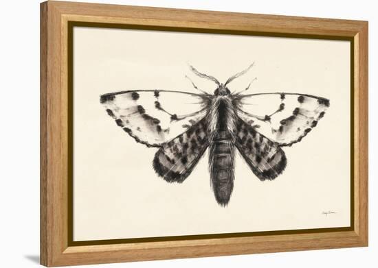 Moth IV-Avery Tillmon-Framed Stretched Canvas