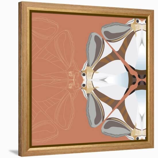 Moth Meditation-Belen Mena-Framed Premier Image Canvas