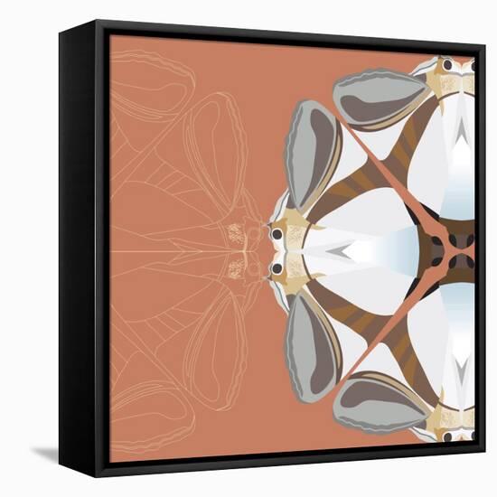 Moth Meditation-Belen Mena-Framed Premier Image Canvas