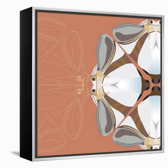 Moth Meditation-Belen Mena-Framed Premier Image Canvas