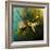 Moth Moments-Clive Nolan-Framed Photographic Print