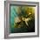 Moth Moments-Clive Nolan-Framed Photographic Print