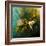 Moth Moments-Clive Nolan-Framed Photographic Print