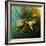 Moth Moments-Clive Nolan-Framed Photographic Print