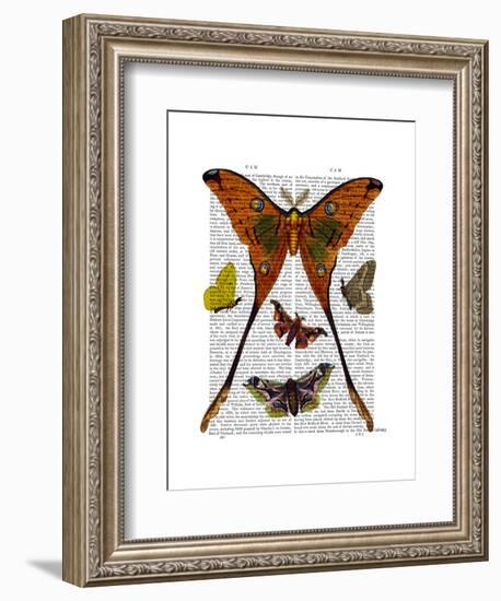 Moth Plate 1-Fab Funky-Framed Art Print