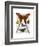 Moth Plate 1-Fab Funky-Framed Art Print