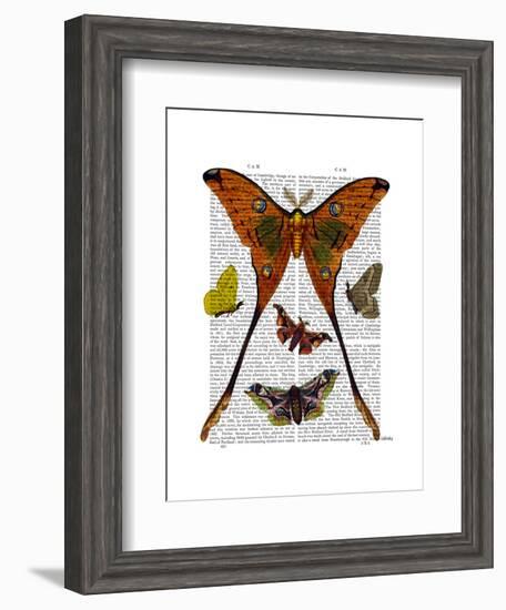 Moth Plate 1-Fab Funky-Framed Art Print