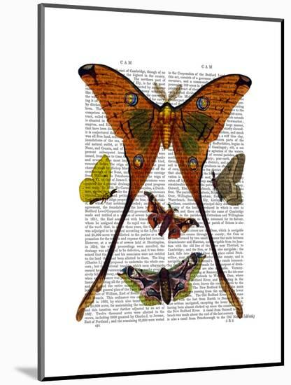 Moth Plate 1-Fab Funky-Mounted Art Print