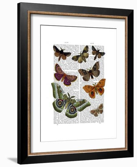 Moth Plate 2-Fab Funky-Framed Premium Giclee Print