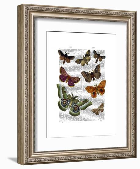 Moth Plate 2-Fab Funky-Framed Art Print