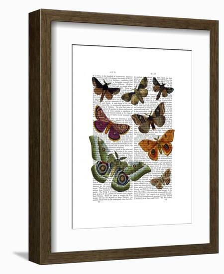 Moth Plate 2-Fab Funky-Framed Art Print