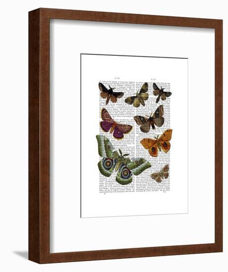 Moth Plate 2-Fab Funky-Framed Art Print