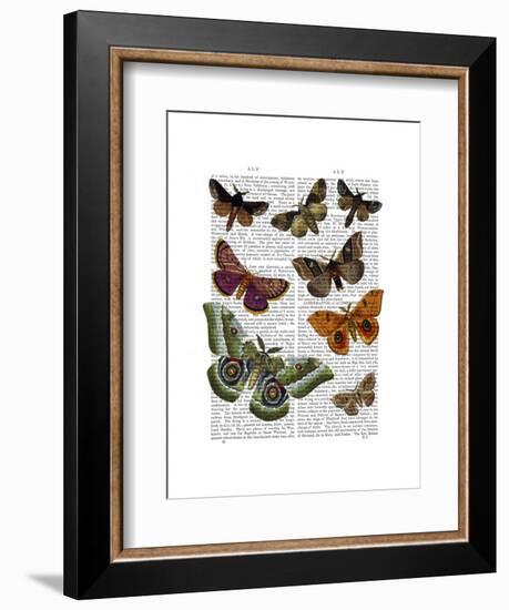 Moth Plate 2-Fab Funky-Framed Art Print