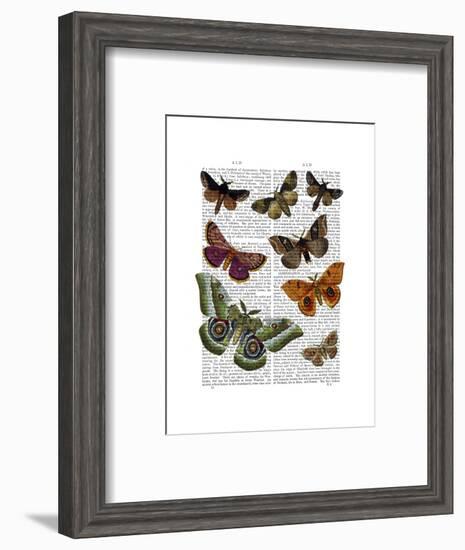 Moth Plate 2-Fab Funky-Framed Art Print