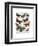 Moth Plate 2-Fab Funky-Framed Art Print