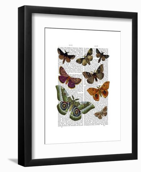 Moth Plate 2-Fab Funky-Framed Art Print