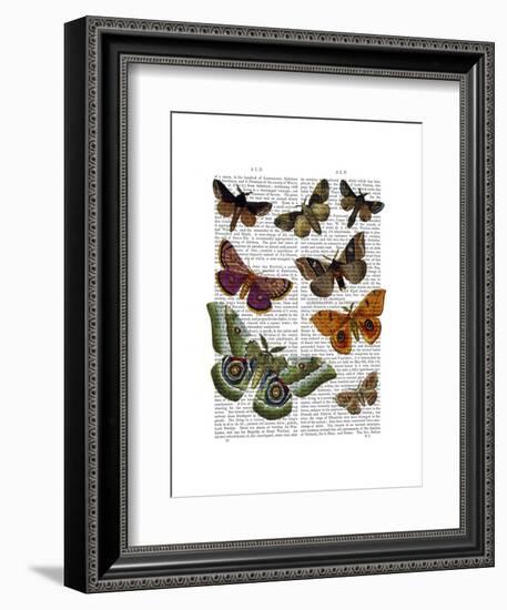 Moth Plate 2-Fab Funky-Framed Art Print