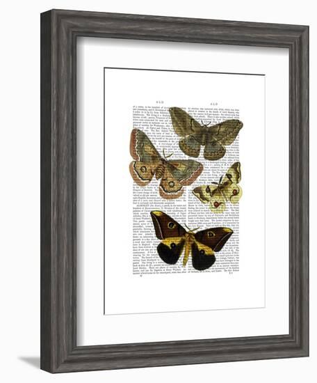 Moth Plate 3-Fab Funky-Framed Art Print