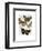 Moth Plate 3-Fab Funky-Framed Art Print