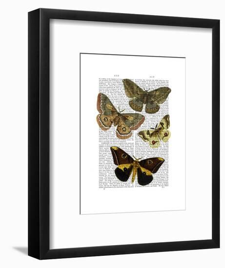 Moth Plate 3-Fab Funky-Framed Art Print