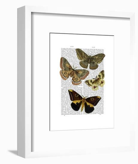 Moth Plate 3-Fab Funky-Framed Art Print