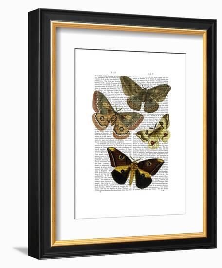 Moth Plate 3-Fab Funky-Framed Art Print