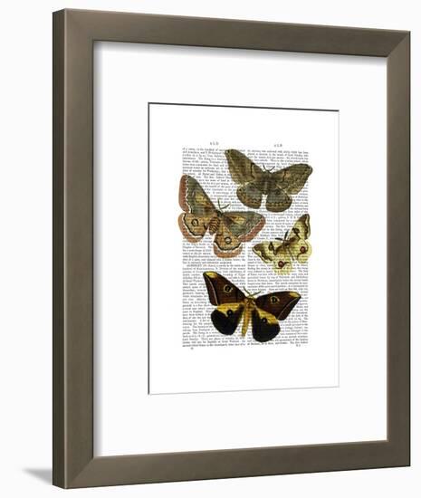 Moth Plate 3-Fab Funky-Framed Art Print