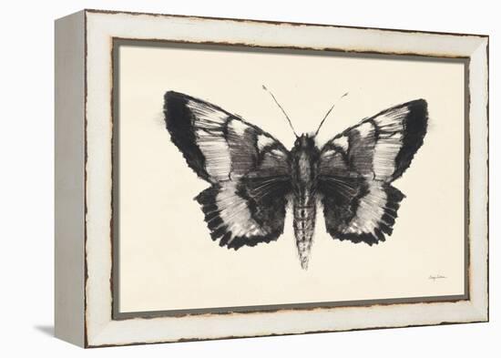 Moth V-Avery Tillmon-Framed Stretched Canvas