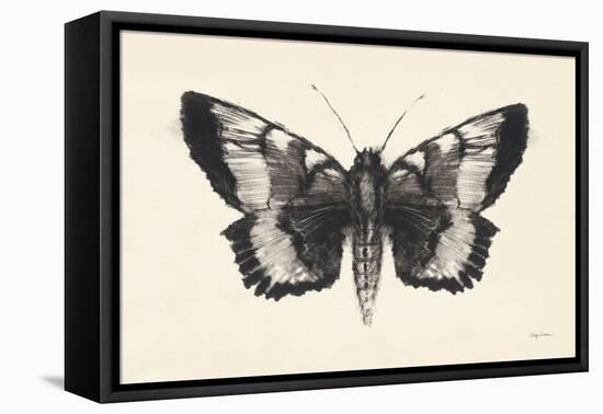 Moth V-Avery Tillmon-Framed Stretched Canvas