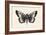 Moth V-Avery Tillmon-Framed Premium Giclee Print