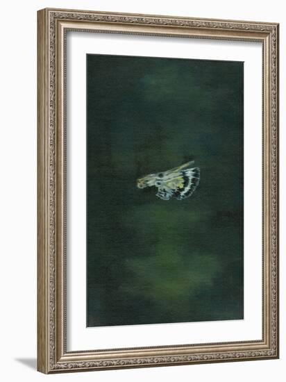 Moth Wing, 2014-Bella Larsson-Framed Giclee Print