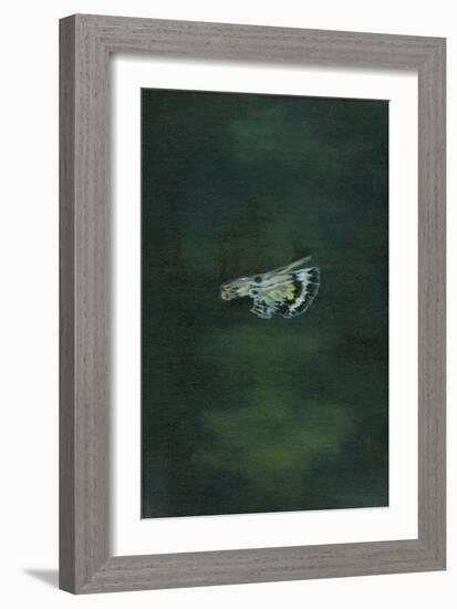 Moth Wing, 2014-Bella Larsson-Framed Giclee Print