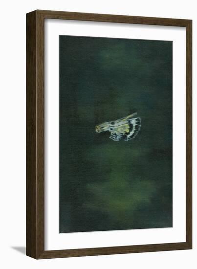 Moth Wing, 2014-Bella Larsson-Framed Giclee Print