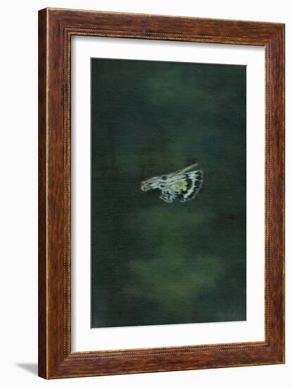 Moth Wing, 2014-Bella Larsson-Framed Giclee Print