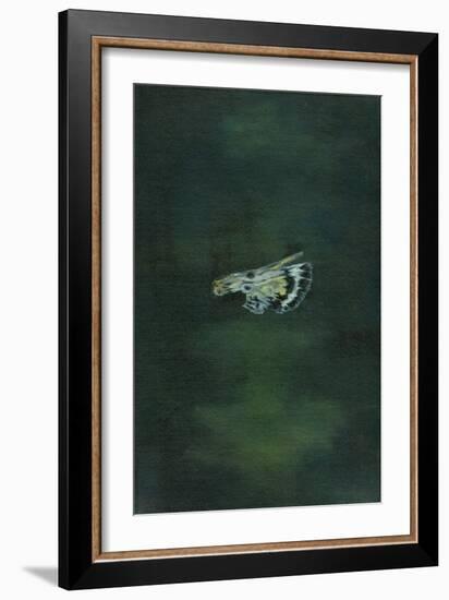 Moth Wing, 2014-Bella Larsson-Framed Giclee Print