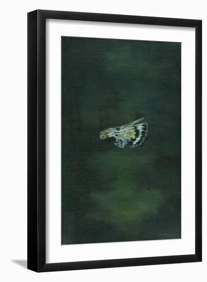 Moth Wing, 2014-Bella Larsson-Framed Giclee Print