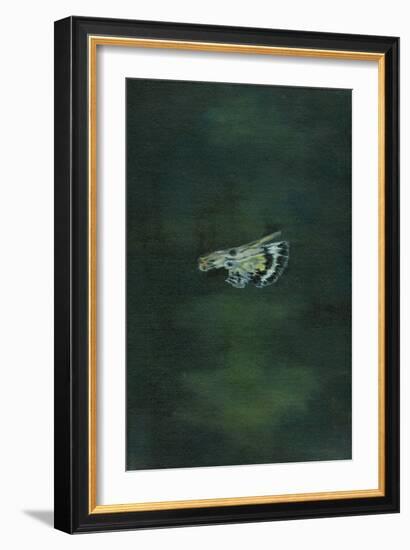 Moth Wing, 2014-Bella Larsson-Framed Giclee Print