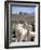 Mother and Baby Alpaca with Catholic Church in the Distance, Village of Mauque, Chile-Lin Alder-Framed Photographic Print