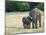 Mother and Baby Asian Elephants at Minneriya National Park, Sri Lanka, Asia-Kim Walker-Mounted Photographic Print