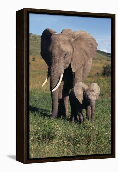 Mother and Baby Elephant-DLILLC-Framed Premier Image Canvas