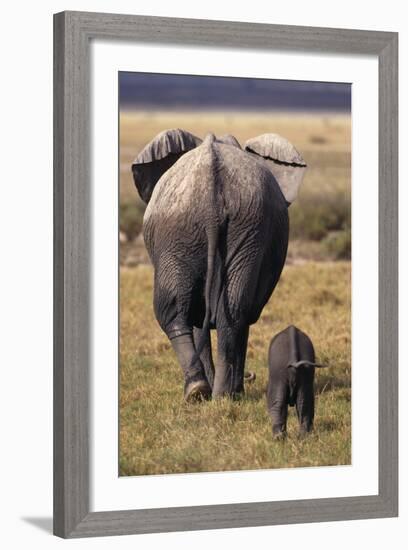 Mother and Baby Elephant-DLILLC-Framed Photographic Print