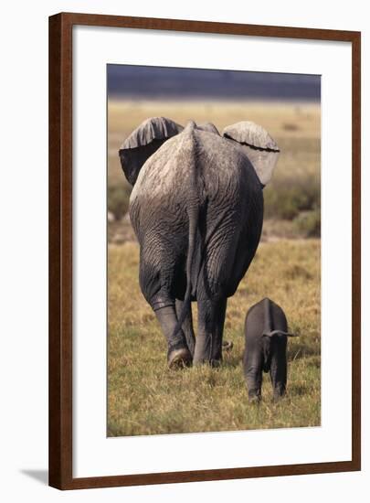 Mother and Baby Elephant-DLILLC-Framed Photographic Print