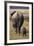 Mother and Baby Elephant-DLILLC-Framed Photographic Print