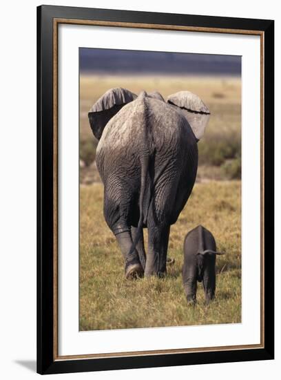 Mother and Baby Elephant-DLILLC-Framed Photographic Print