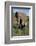 Mother and Baby Elephant-DLILLC-Framed Photographic Print